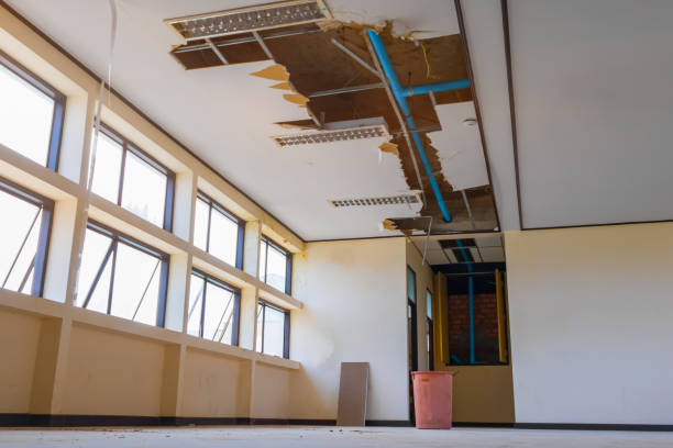 Best Commercial water damage restoration  in Cheval, FL