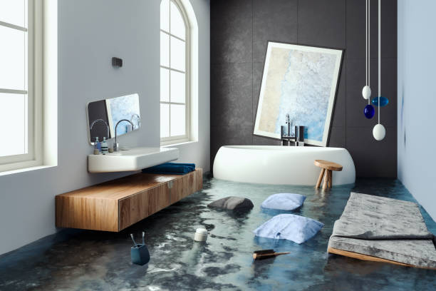 Best Water damage contractors near me  in Cheval, FL