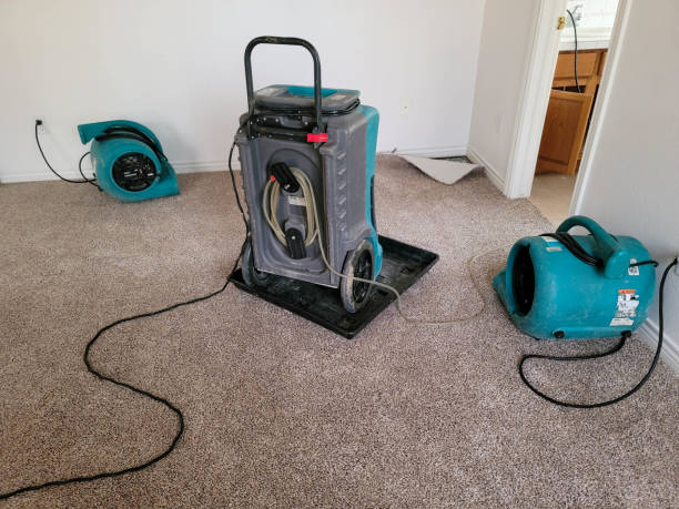 Best Carpet water damage restoration  in Cheval, FL