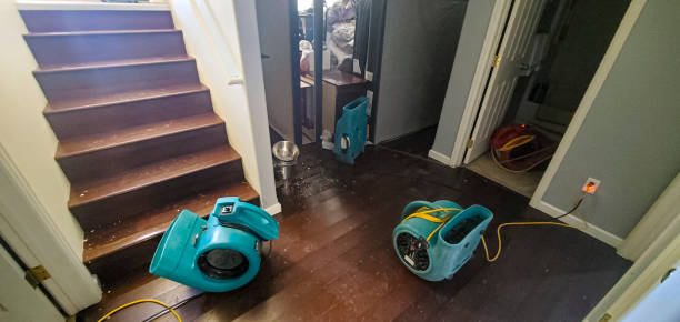 Best Fire Damage Restoration  in Cheval, FL