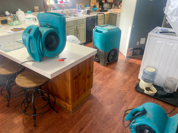 Reliable FL Water damage restoration Solutions