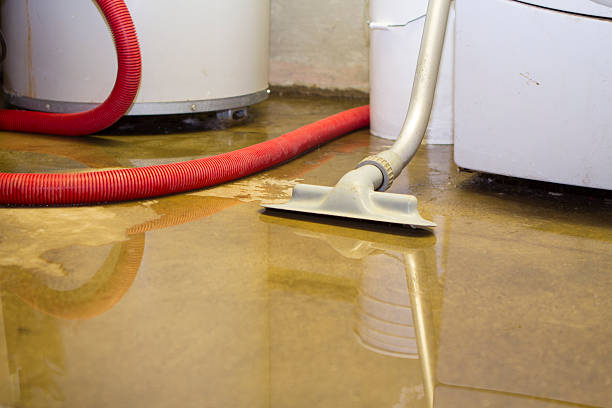 Best Sewage cleanup and water damage restoration  in Cheval, FL