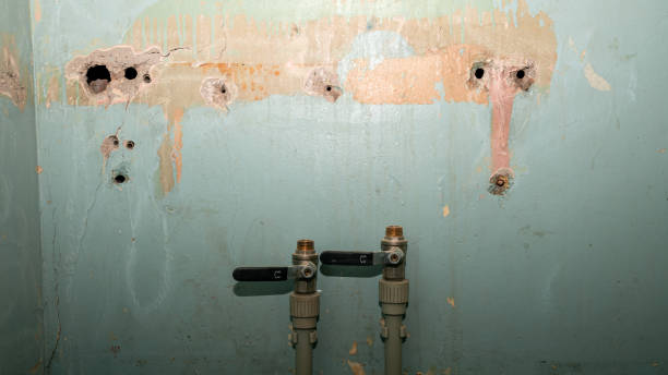 Best Flood restoration services  in Cheval, FL