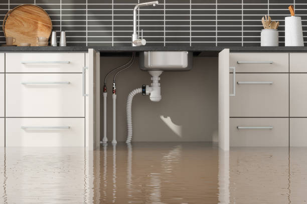 Best Water damage cleanup near me  in Cheval, FL