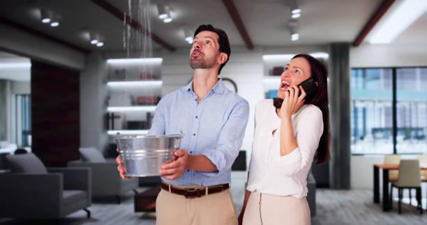 Best Ceiling water damage repair  in Cheval, FL