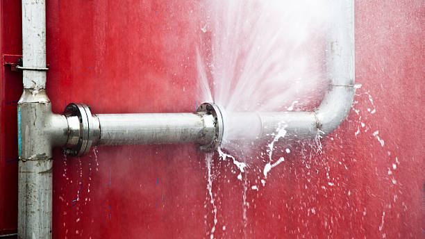 Best Flooded house restoration  in Cheval, FL